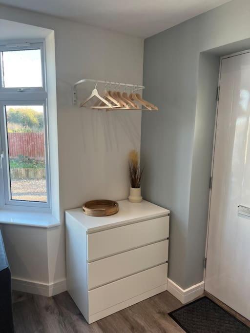 Abbotsbury 1 Bed Studio Opposite Uwe Free Parking Bristol Ngoại thất bức ảnh