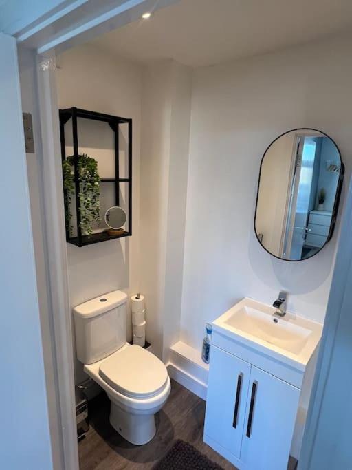 Abbotsbury 1 Bed Studio Opposite Uwe Free Parking Bristol Ngoại thất bức ảnh